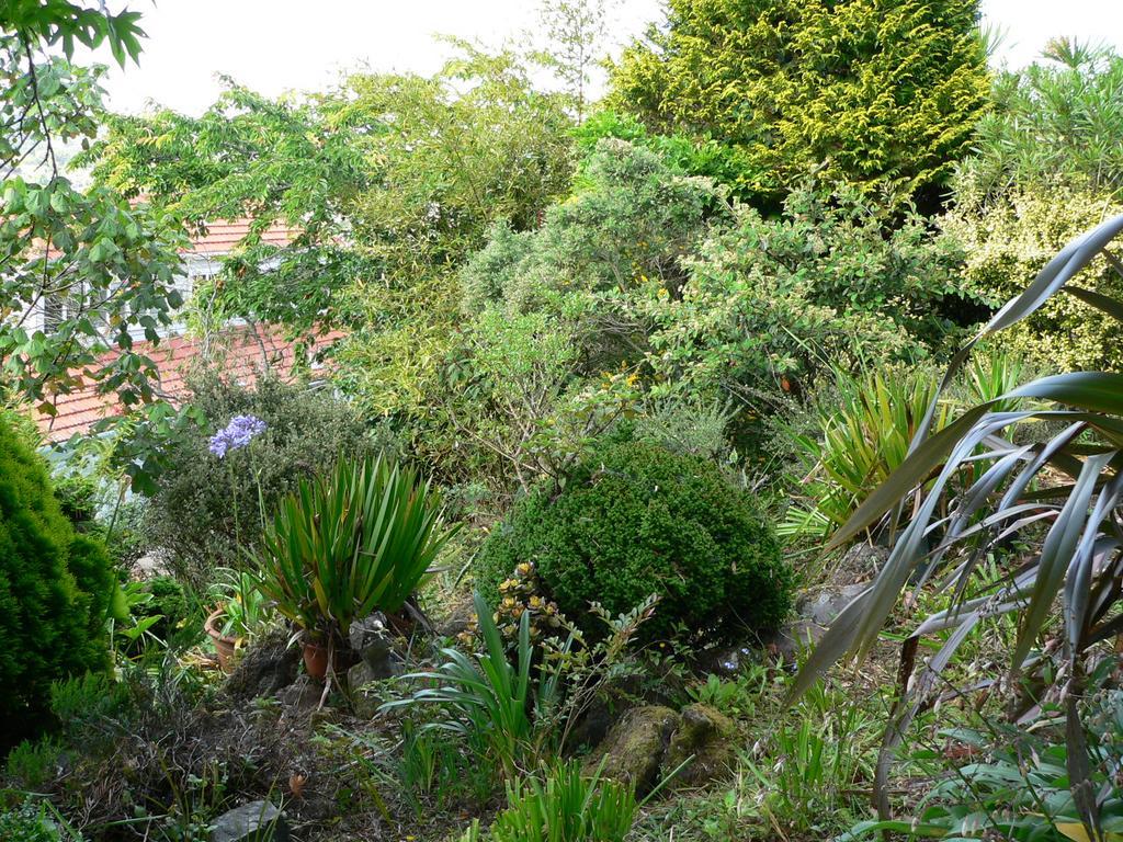 Mount Hobson Apartments Auckland Bagian luar foto